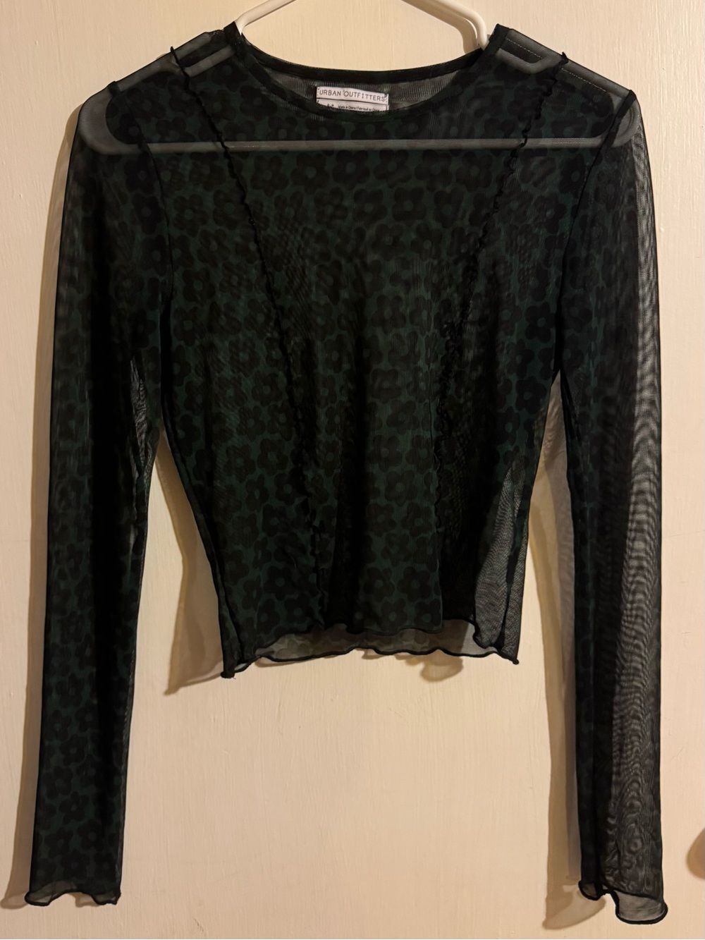 Urban Outfitters Black & Green Sheer Long Sleeve Top